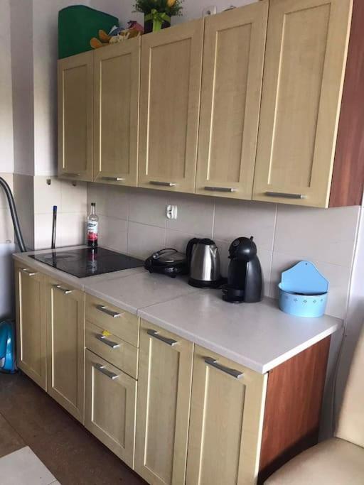 Apartament Przy Parku Klimatyzacja Parking Wifi Wrocław Zewnętrze zdjęcie